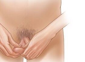 Jelking exercises to enlarge the penis
