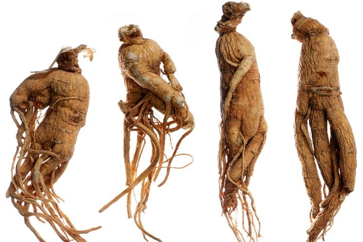 Ginseng root for penis enlargement